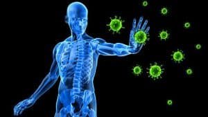 boost your immune system today