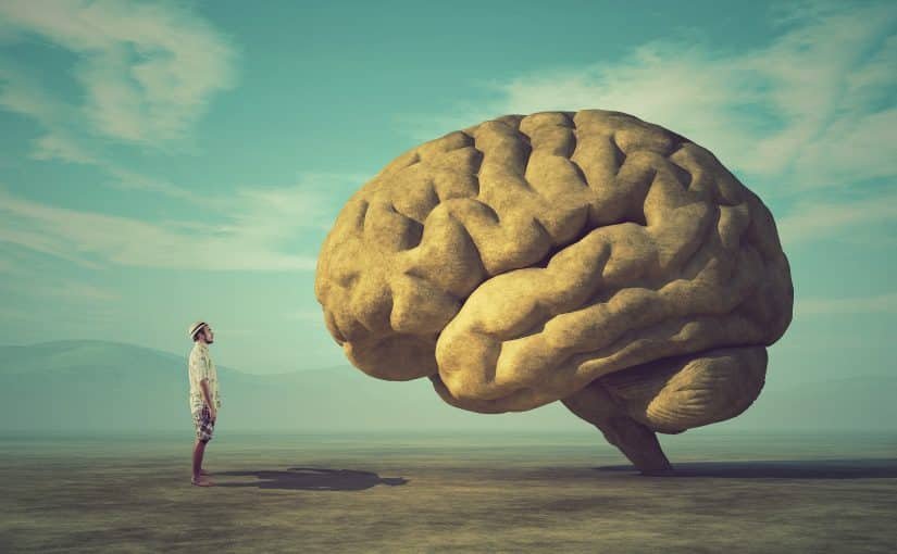mind body connecto