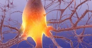 Vagus nerve