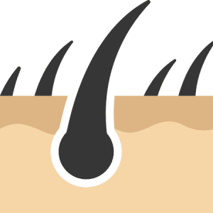 Hair Growth Phases
