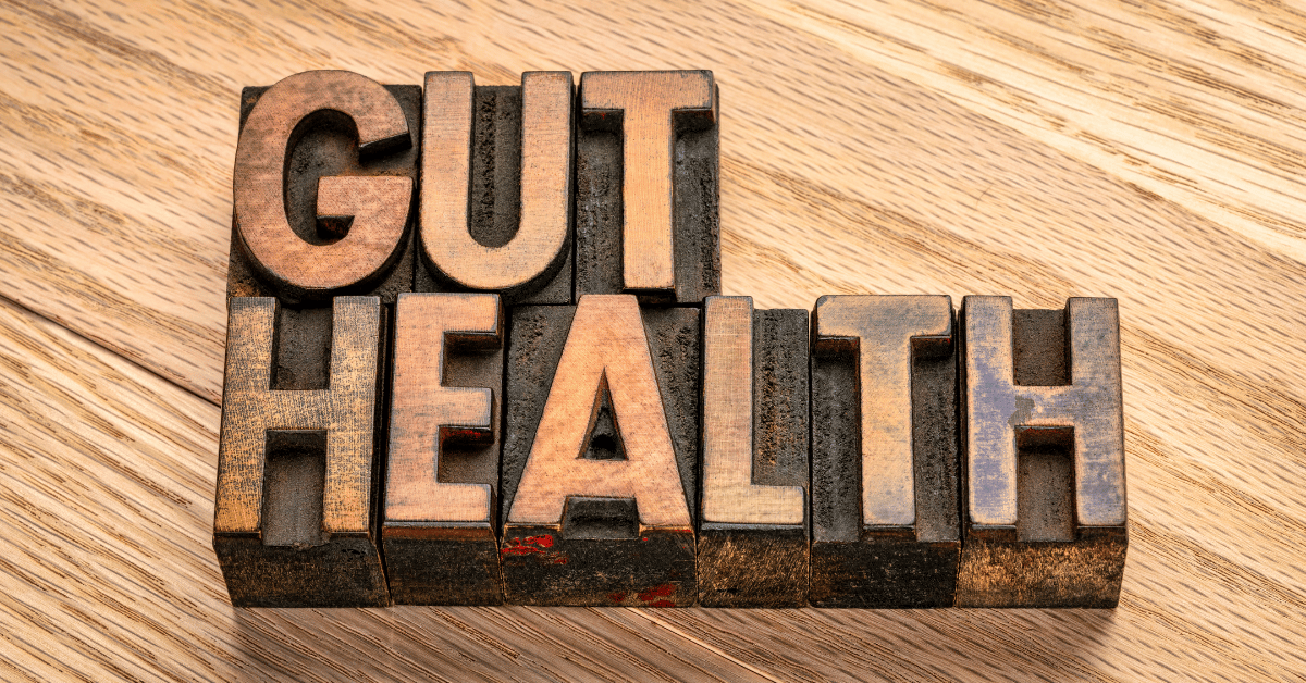 World Gut Health Day