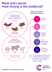 Meat and Cancer Risk