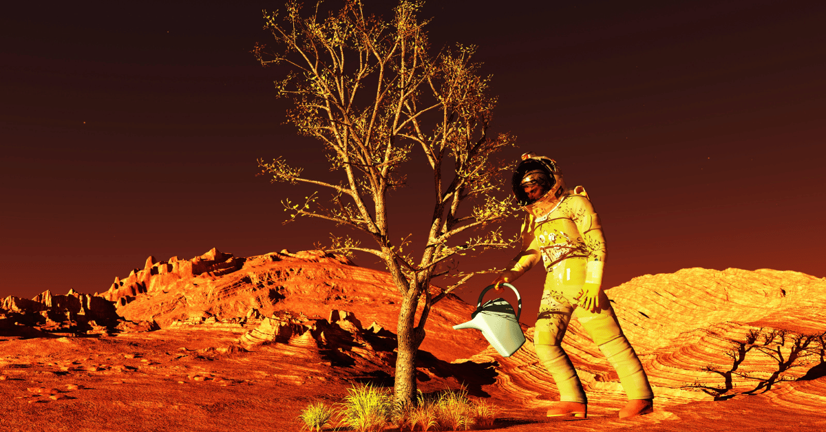 What does Elon Musk plan for the colony on Mars?